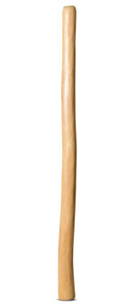 Medium Size Natural Finish Didgeridoo (TW1259)